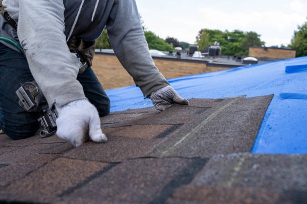 Professional Roofing Contractor in Salt Creek Commons, IN