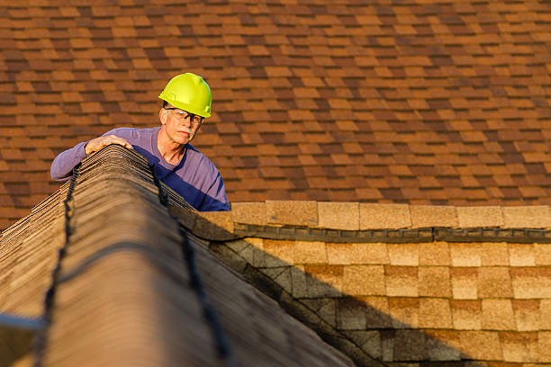 Best Roof Gutter Cleaning  in Salt Creek Commons, IN