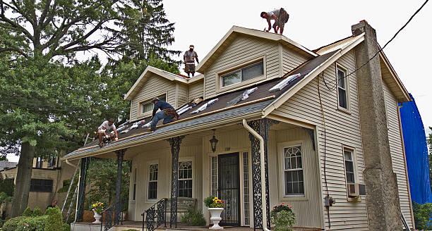 Best Storm Damage Roof Repair  in Salt Creek Commons, IN
